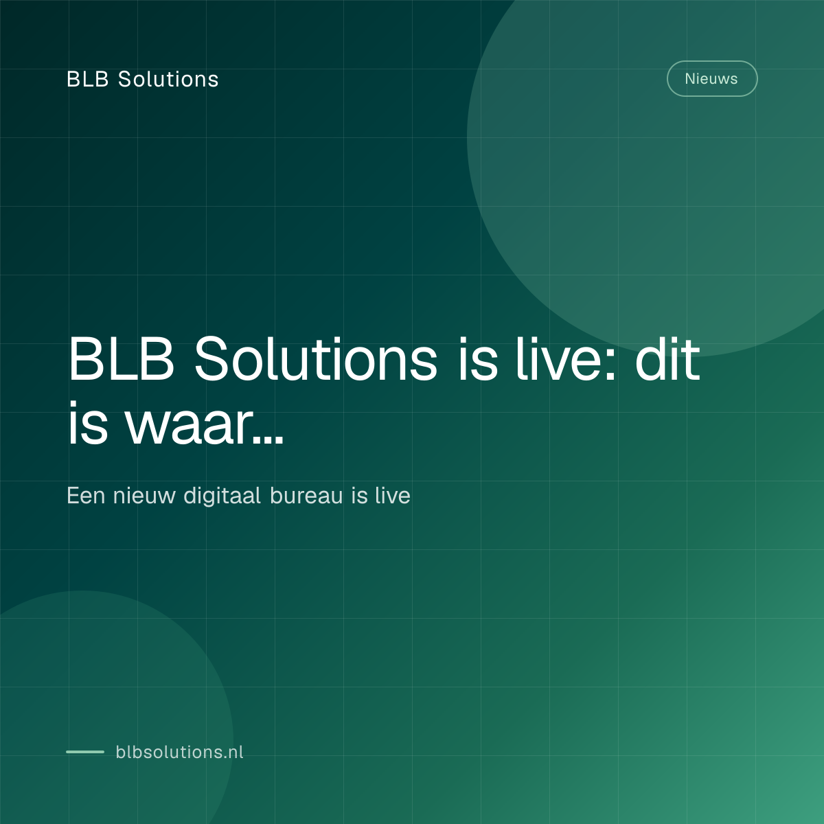 BLB Solutions is live: dit is waar Bram Luca Business Solutions voor staat